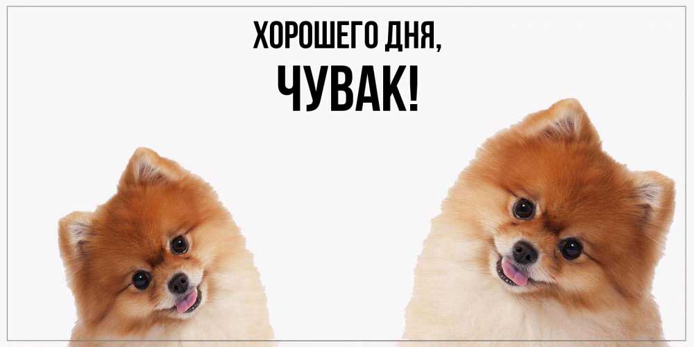 Открытка  для любимых и родных. Чувак, Хорошего дня  