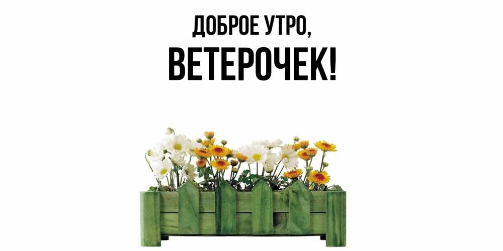 Открытка  для любимых и родных. ветерочек, Доброе утро  