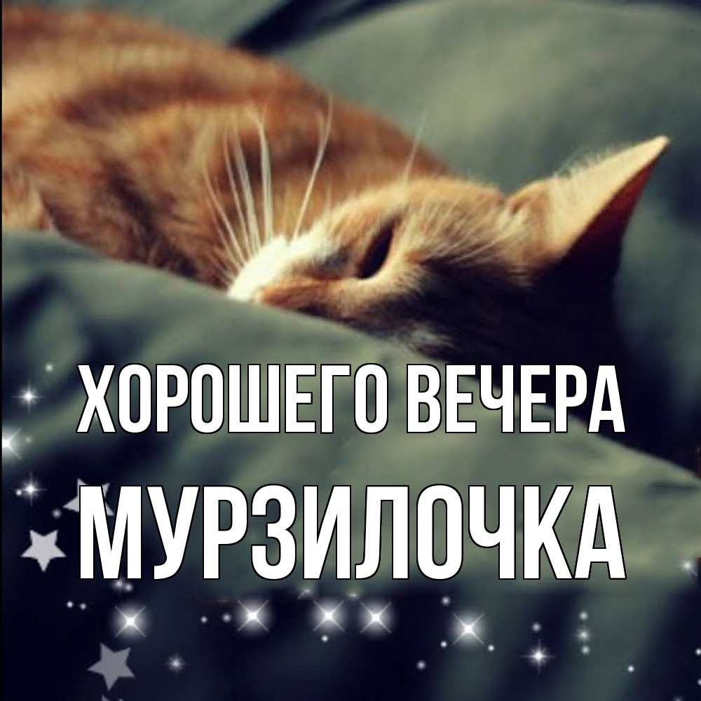 Картинка Хорошего вечера, мурзилочка