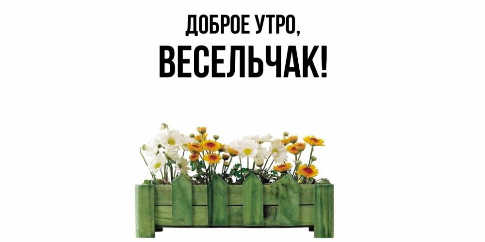 Открытка  для любимых и родных. весельчак, Доброе утро  