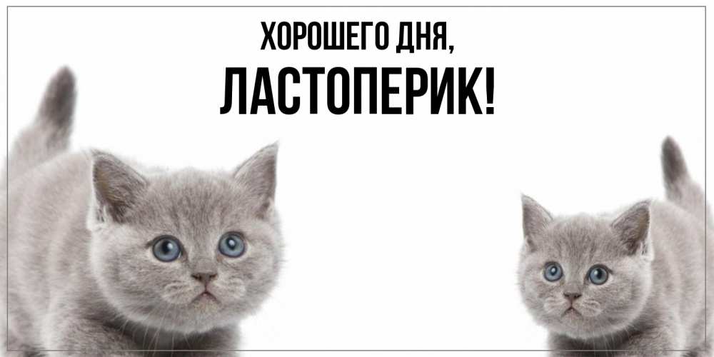 Картинка Хорошего дня, ластоперик