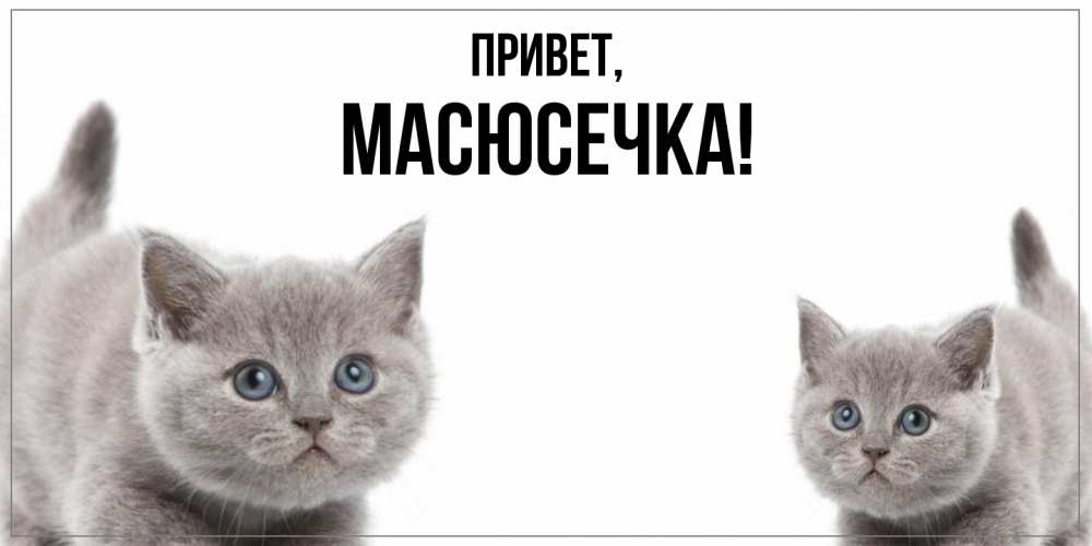 Картинка Привет, масюсечка
