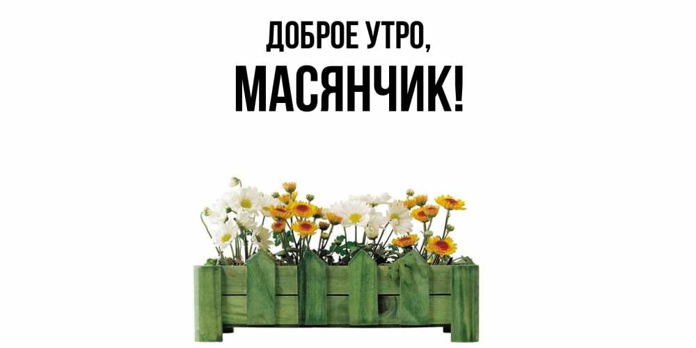 Открытка  для любимых и родных. масянчик, Доброе утро  