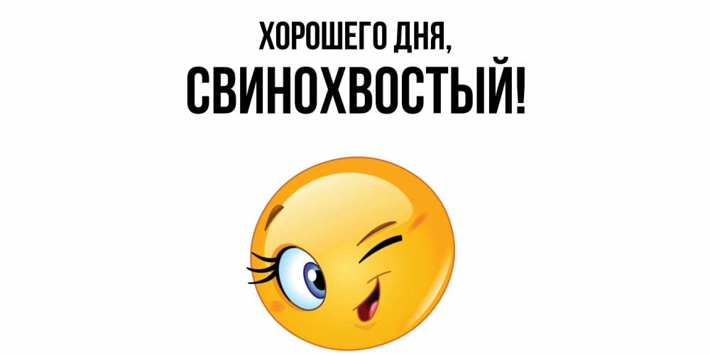 Открытка  для любимых и родных. свинохвостый, Хорошего дня  