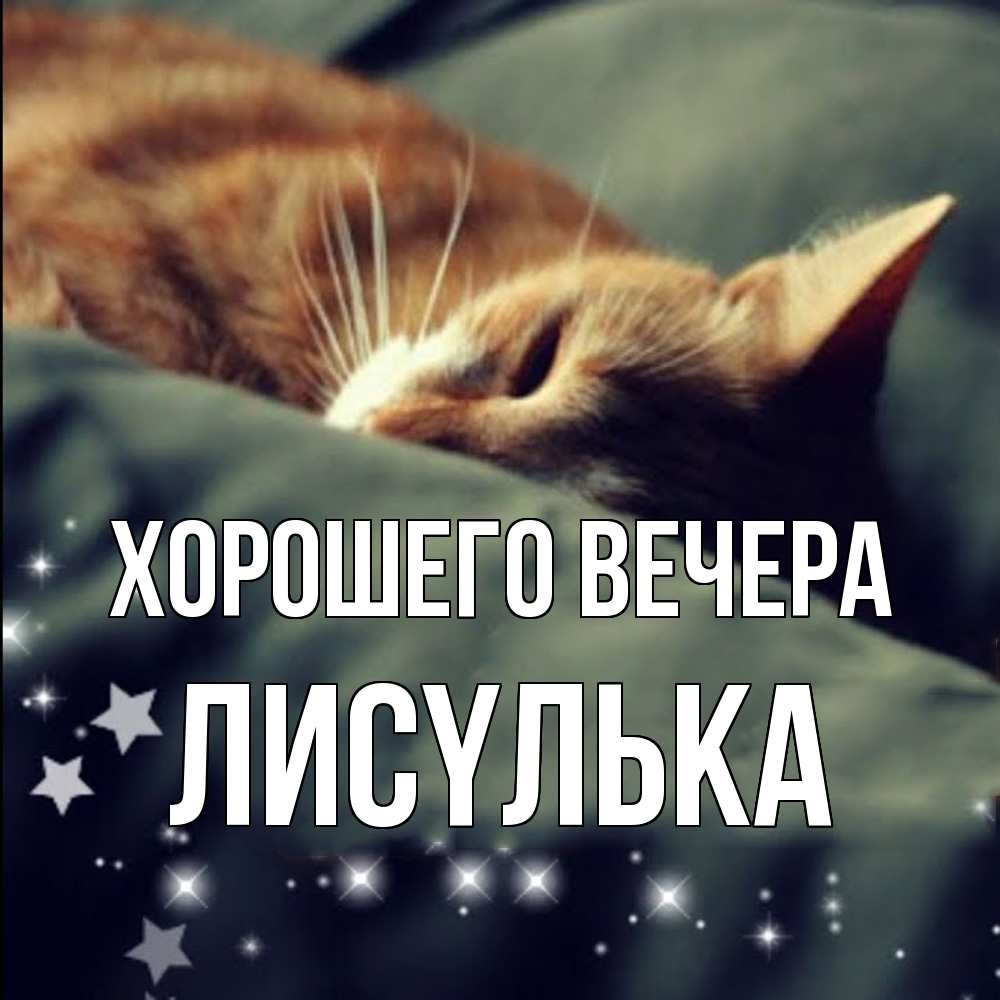 Открытка  для любимых и родных. лисyлька, Хорошего вечера  
