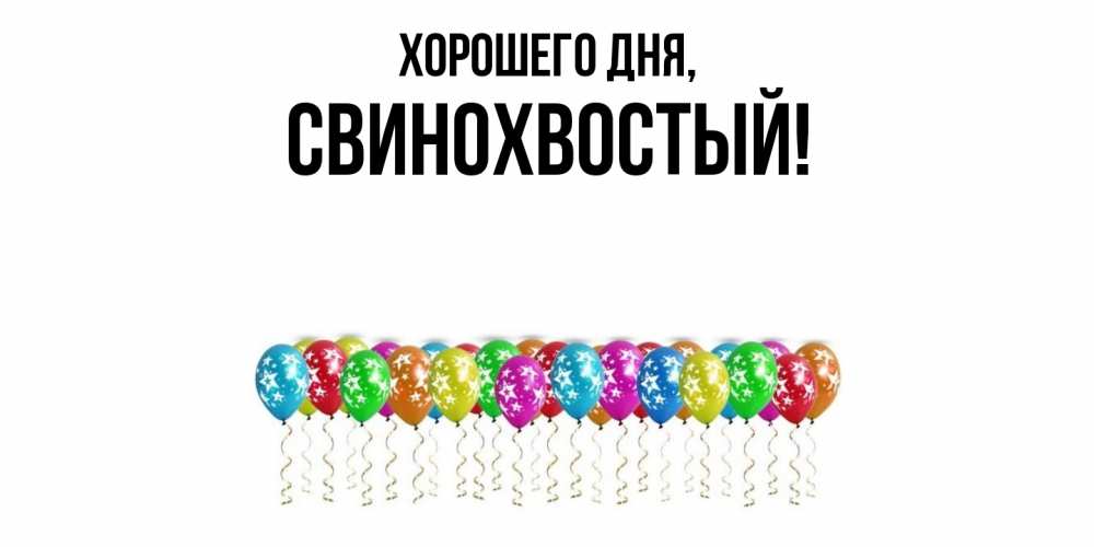 Открытка  для любимых и родных. свинохвостый, Хорошего дня  