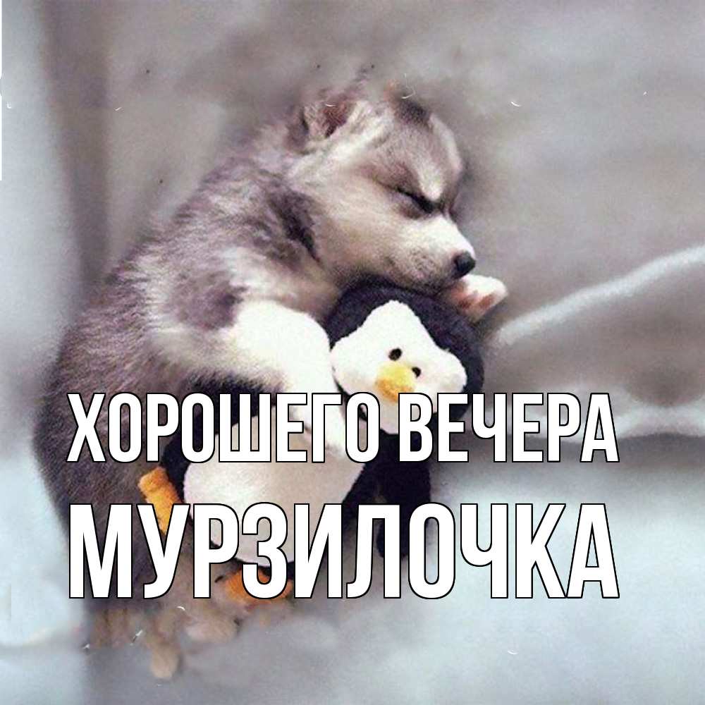 Картинка Хорошего вечера, мурзилочка