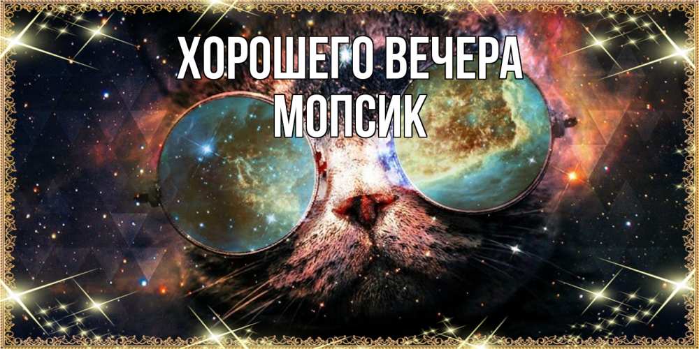 Открытка  для любимых и родных. мопсик, Хорошего вечера  
