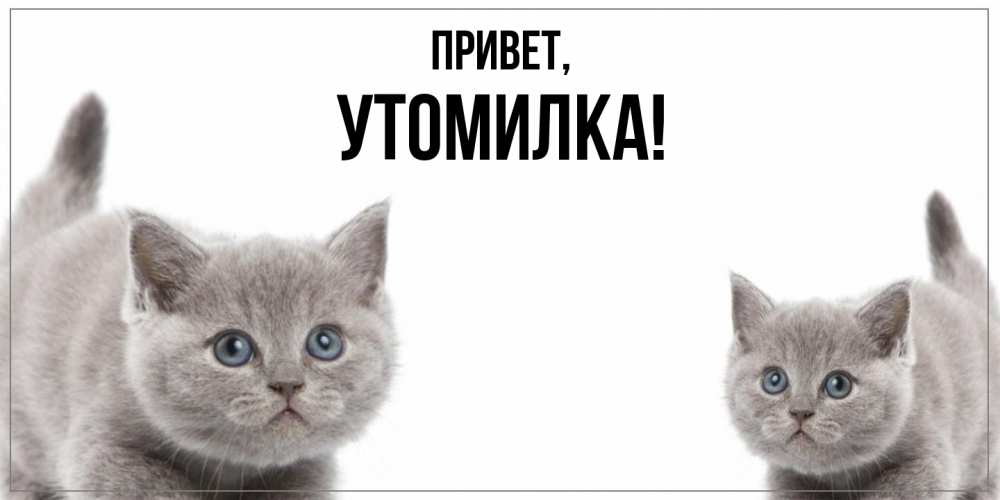 Открытка с именем, утомилка, Привет