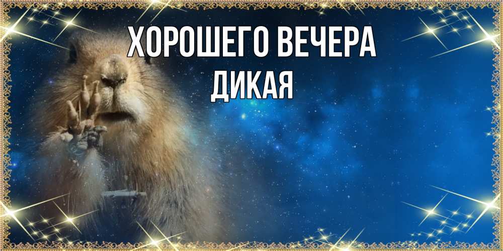 Картинка Хорошего вечера, дикая