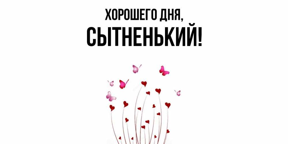 Открытка  для любимых и родных. сытненький, Хорошего дня  