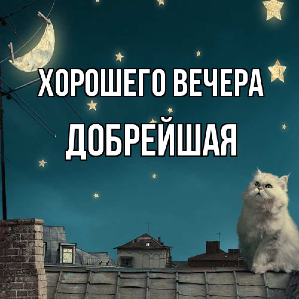Открытка  для любимых и родных. добрейшая, Хорошего вечера  