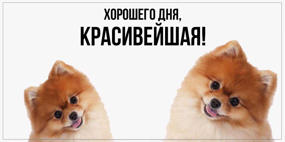 Открытка  для любимых и родных. красивейшая, Хорошего дня  