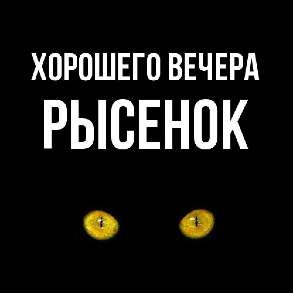 Открытка с именем, рысенок, Хорошего вечера