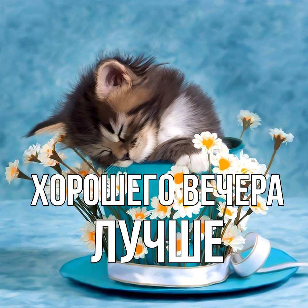 Открытка  для любимых и родных. лучше, Хорошего вечера  