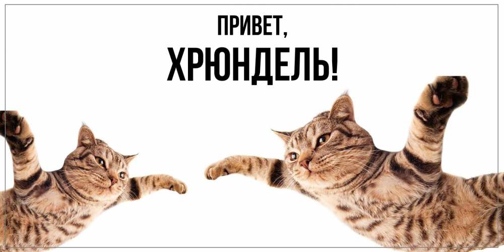 Картинка Привет, хрюндель