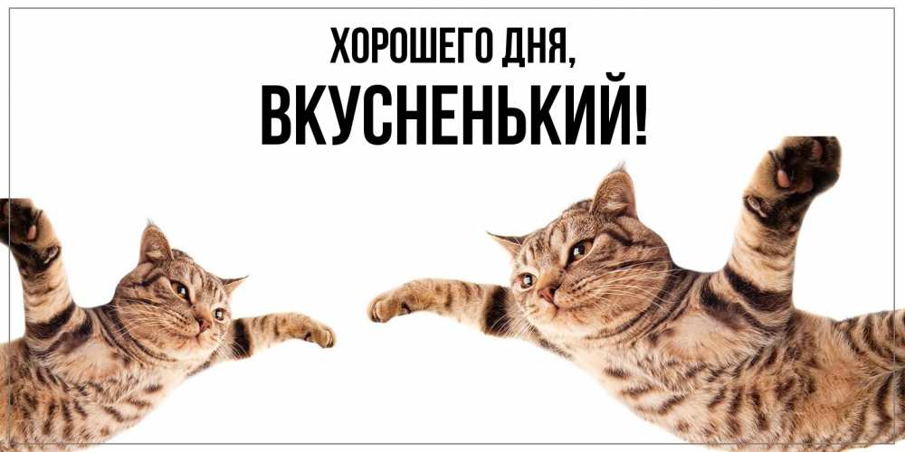 Открытка  для любимых и родных. вкусненький, Хорошего дня  