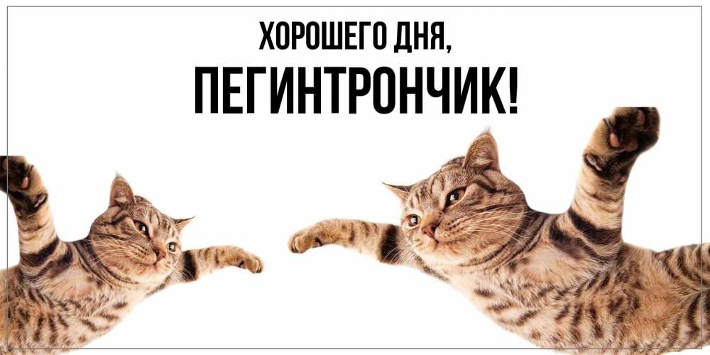 Открытка  для любимых и родных. пегинтрончик, Хорошего дня  
