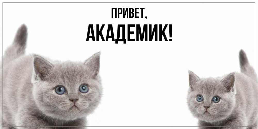 Открытка с именем, академик, Привет