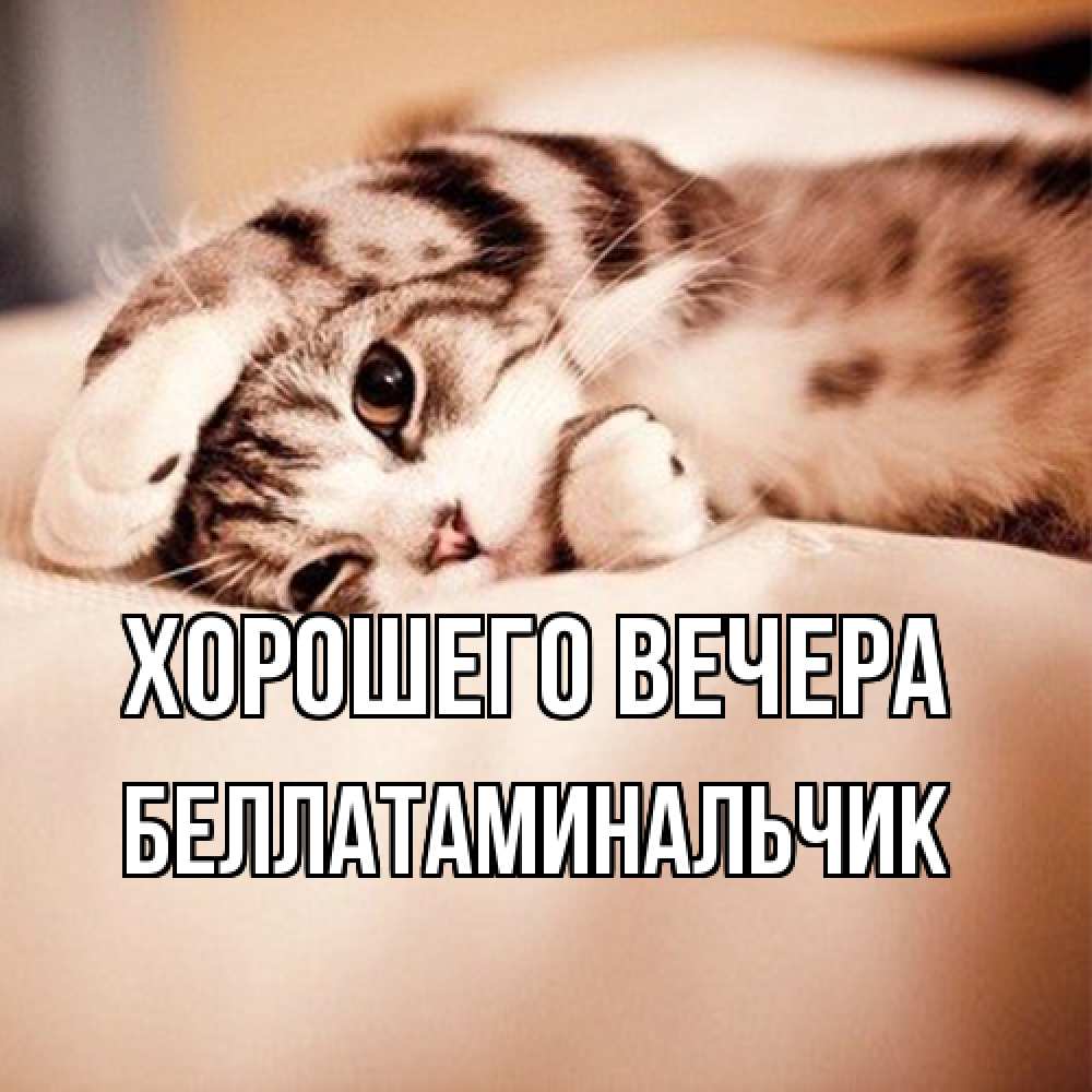 Открытка  для любимых и родных. беллатаминальчик, Хорошего вечера  