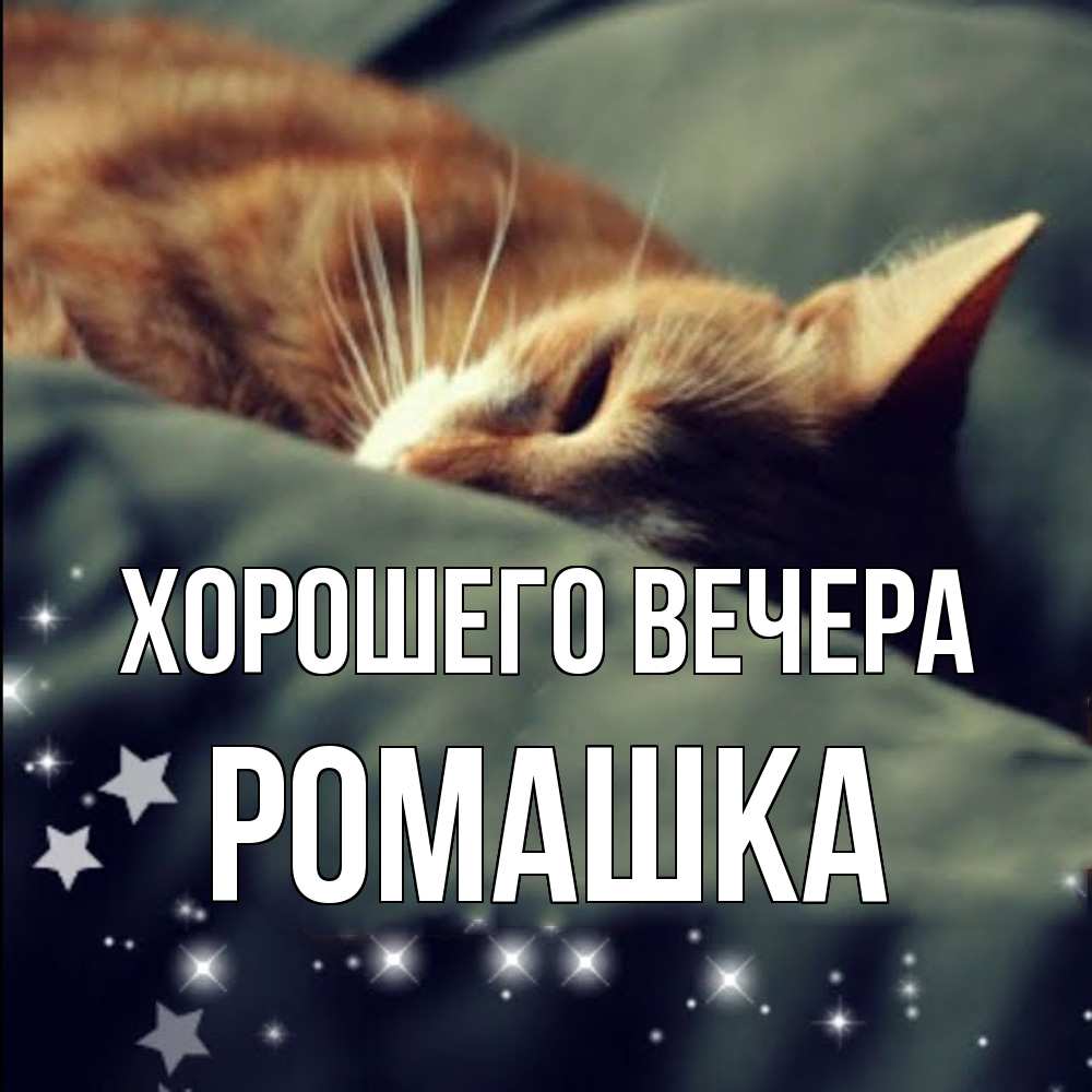 Картинка Хорошего вечера, ромашка