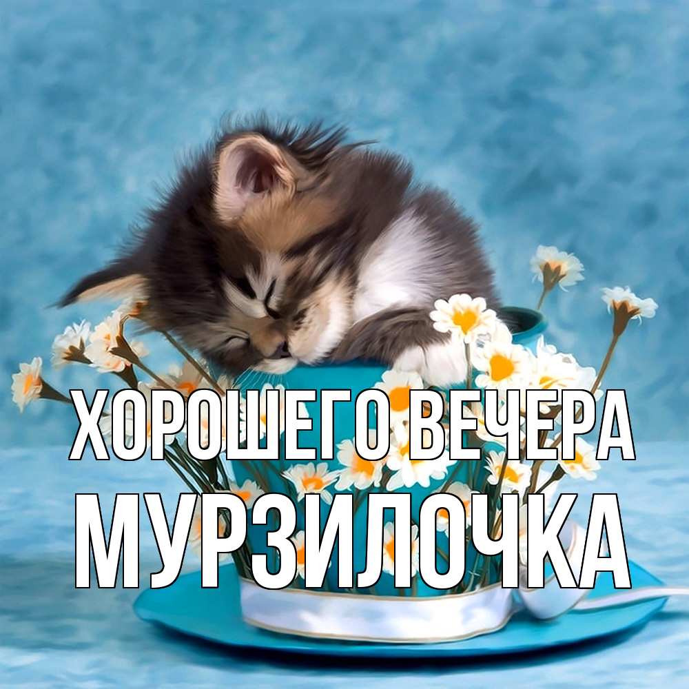 Картинка Хорошего вечера, мурзилочка