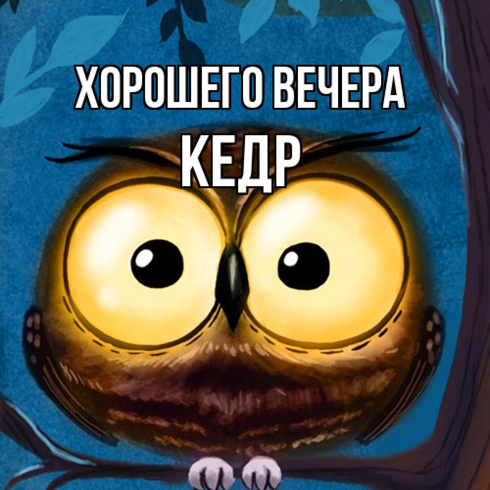 Картинка Хорошего вечера, кедр