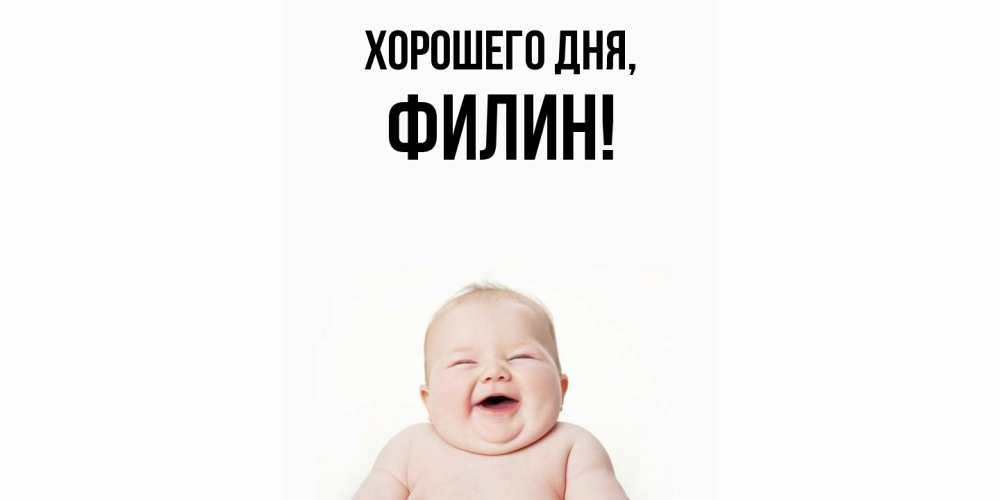 Открытка  для любимых и родных. филин, Хорошего дня  