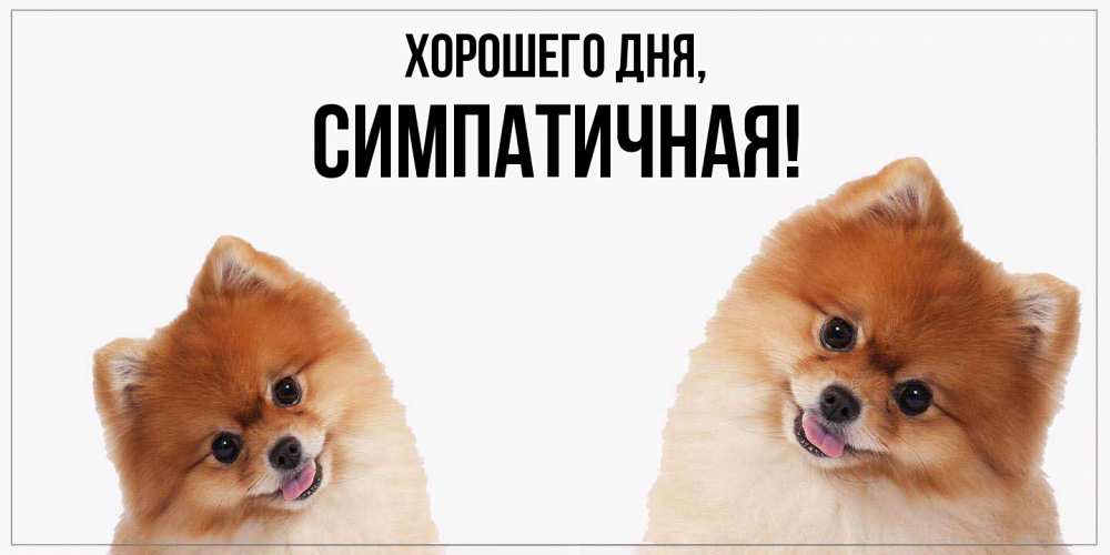 Открытка  для любимых и родных. симпатичная, Хорошего дня  