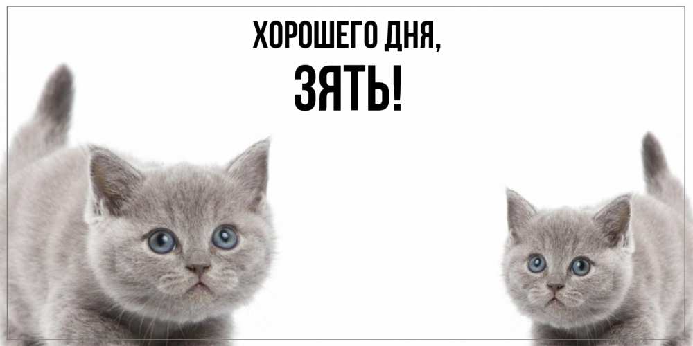 Открытка  для любимых и родных. Зять, Хорошего дня  