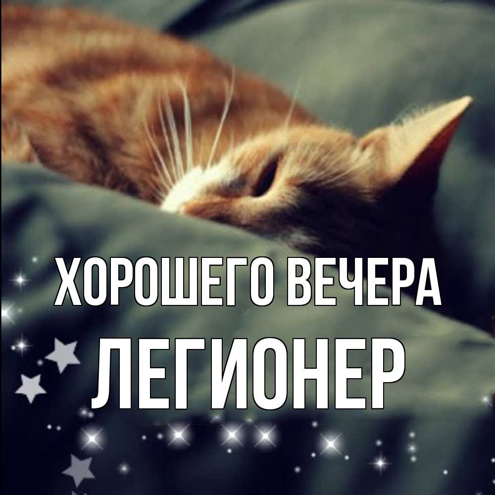 Открытка  для любимых и родных. легионер, Хорошего вечера  