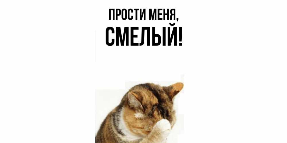 Картинка Прости меня, смелый