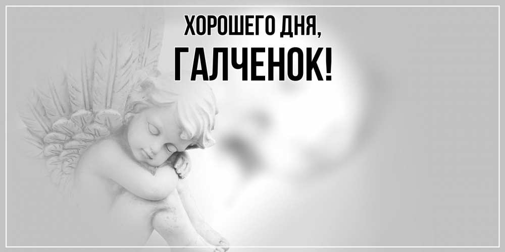 Картинка Хорошего дня, галченок