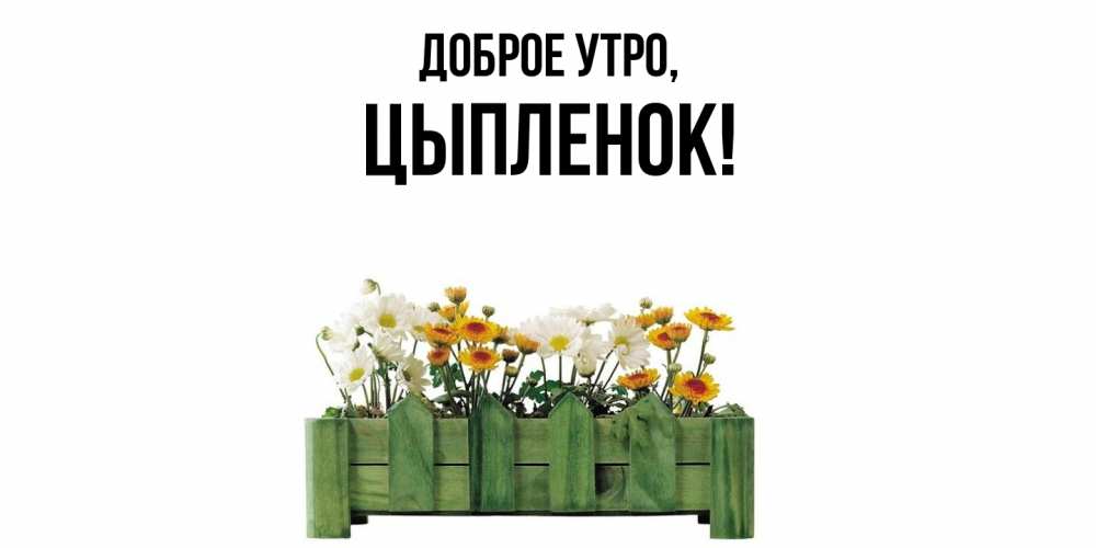 Открытка с именем, цыпленок, Доброе утро