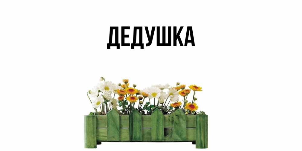 Открытка  для любимых и родных. Дедушка, Главная  