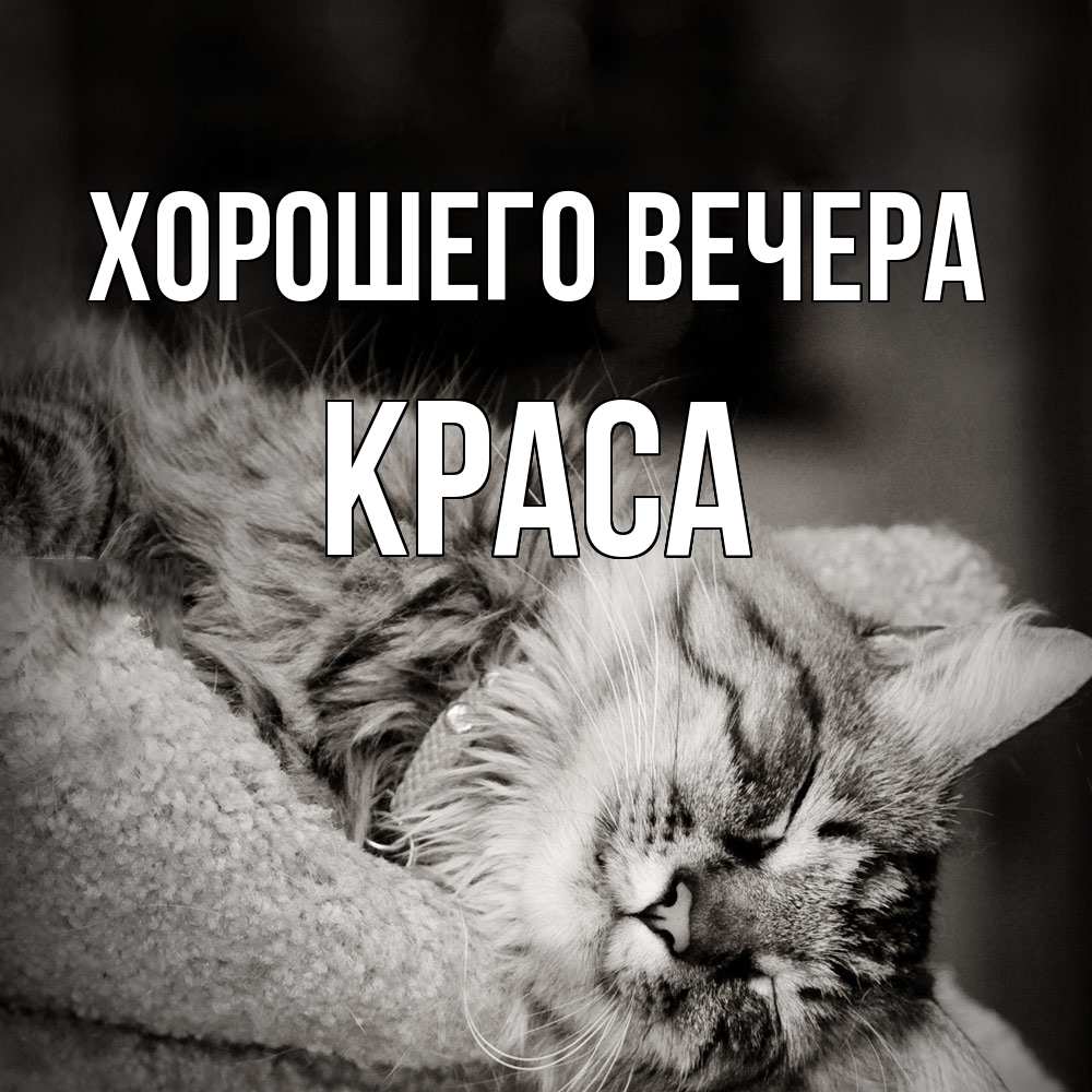 Открытка  для любимых и родных. краса, Хорошего вечера  