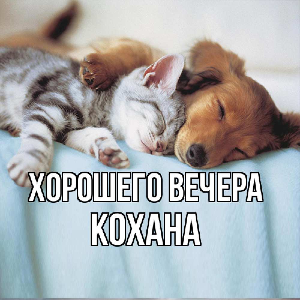 Открытка  для любимых и родных. кохана, Хорошего вечера  