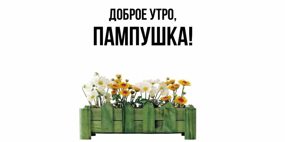 Картинка Доброе утро, пампушка