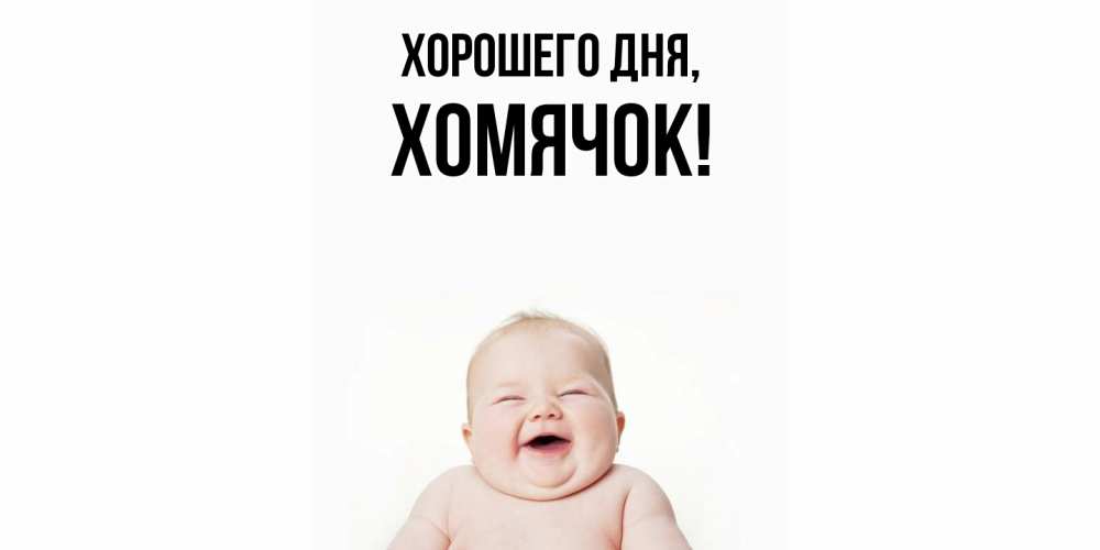 Открытка  для любимых и родных. хомячок, Хорошего дня  