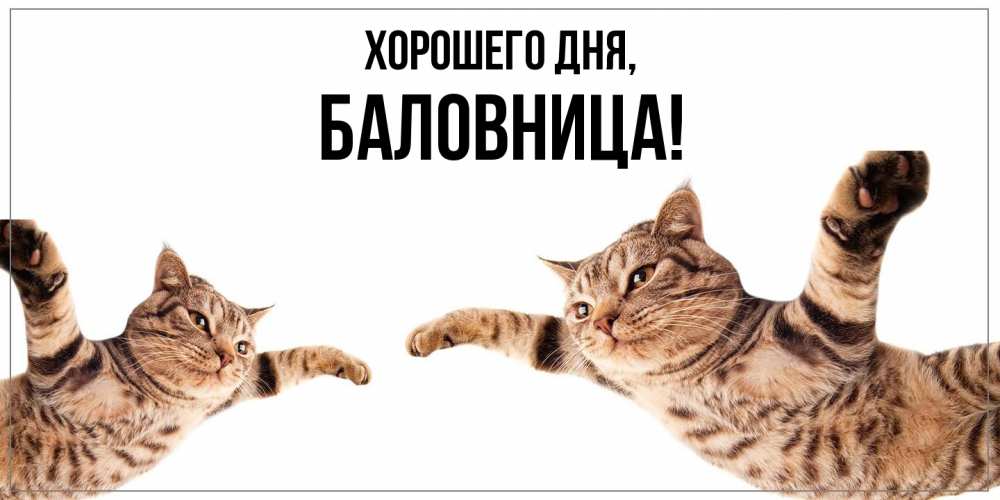 Открытка  для любимых и родных. баловница, Хорошего дня  