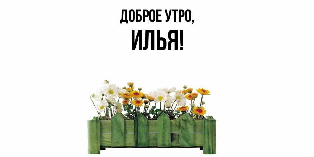 Картинка Доброе утро, илья