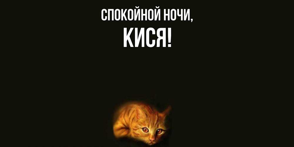 Открытка  для любимых и родных. кися, Спокойной ночи  