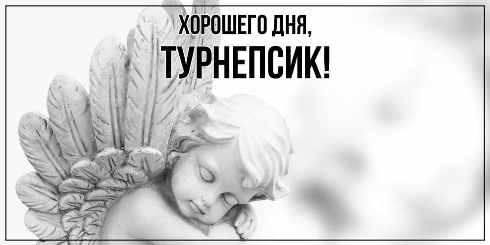 Открытка  для любимых и родных. турнепсик, Хорошего дня  