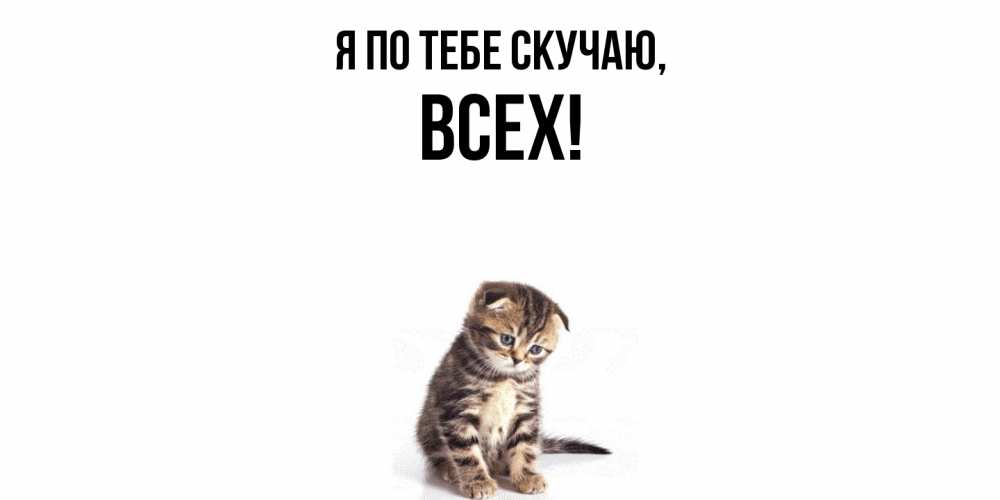 Открытка  для любимых и родных. всех, Я по тебе скучаю  