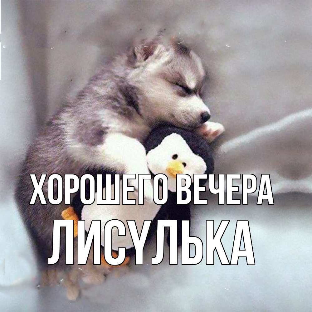 Открытка  для любимых и родных. лисyлька, Хорошего вечера  