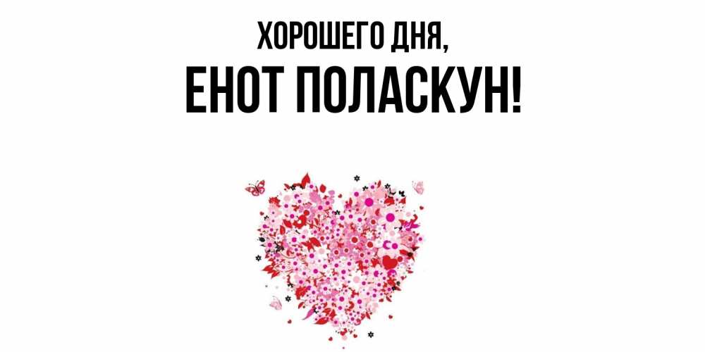 Открытка  для любимых и родных. енот, Хорошего дня  