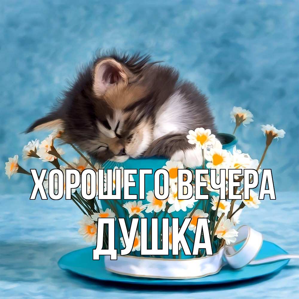 Картинка Хорошего вечера, душка