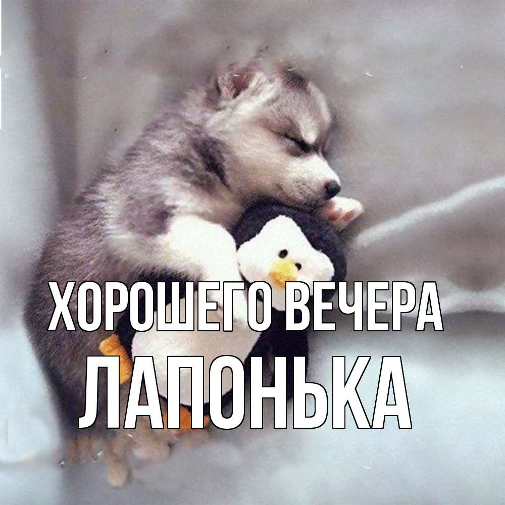Картинка Хорошего вечера, лапонька