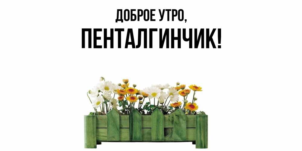 Открытка с именем, пенталгинчик, Доброе утро