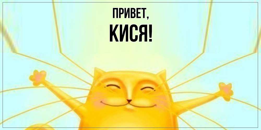 Картинка Привет, кися